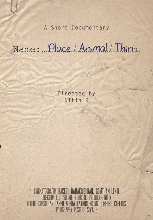 Name, Place, Animal, Thing poster