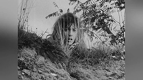 Image de l'épisode 11