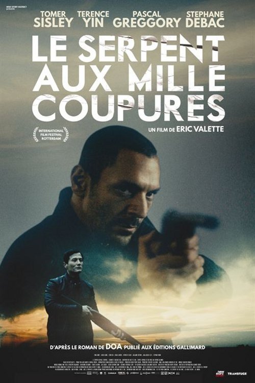 Poster image du film Le Serpent aux mille coupures Le Serpent aux mille coupures