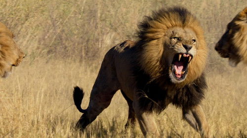 Image de l'épisode Épisode 3