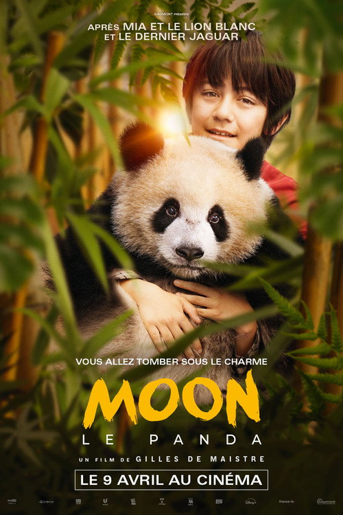 Moon the Panda poster