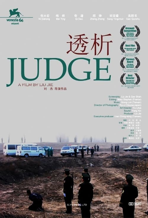 透析 (2010) poster