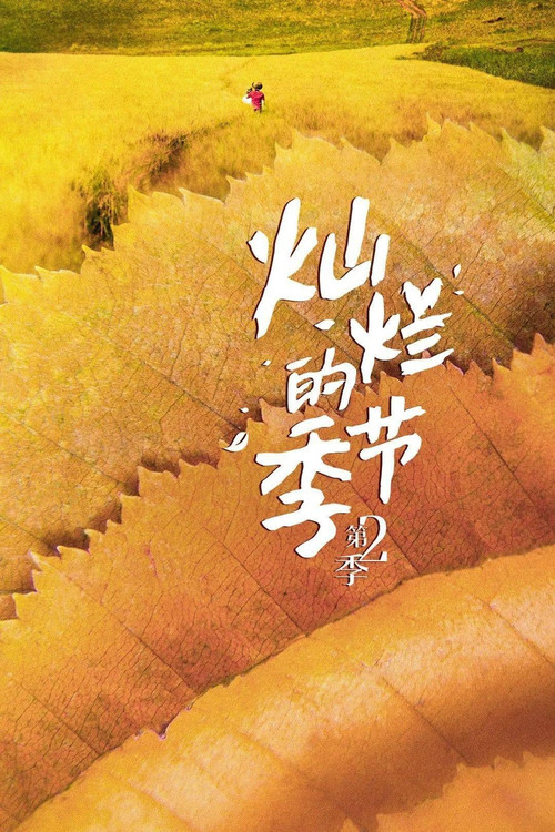 灿烂的季节 - Season 2 Poster Blur