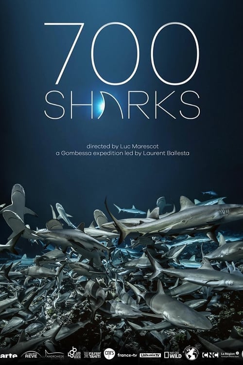 700 Sharks 2018