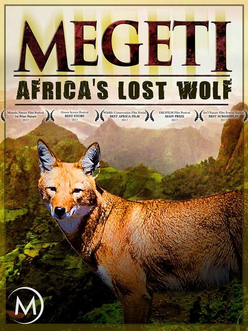 Megeti - Africa's Lost Wolf (2016) poster