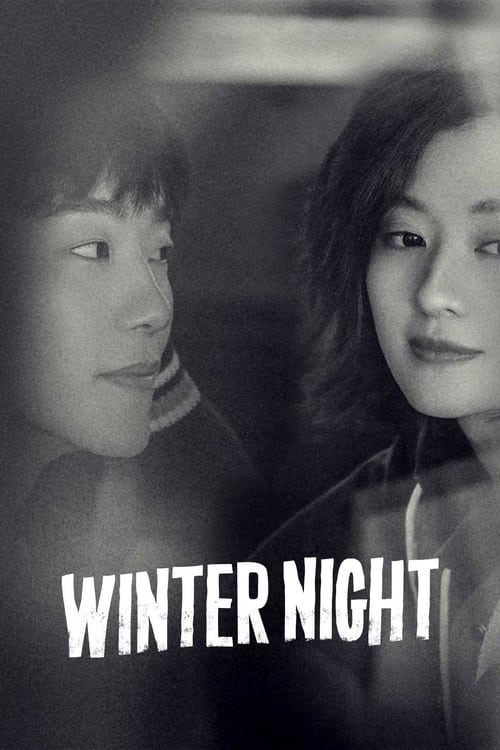 Poster Winter Night