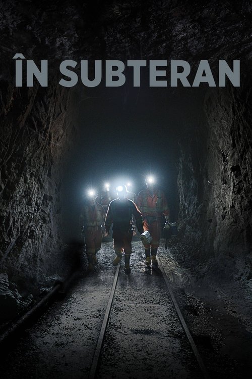 Poster pentru În subteran