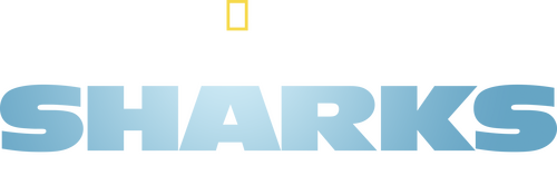 United Sharks of America