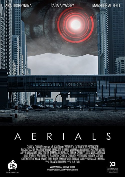 Ver Aerials 2016 Pelicula Completa En Español Latino