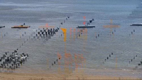 Image de l'épisode 19