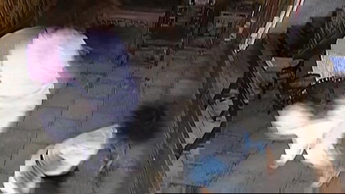 Image de l'épisode 14