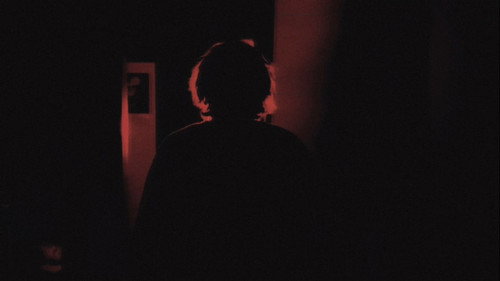 Pleura still