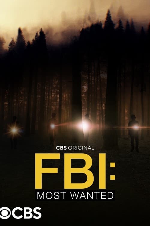 Where to stream FBI: Most Wanted Season 4