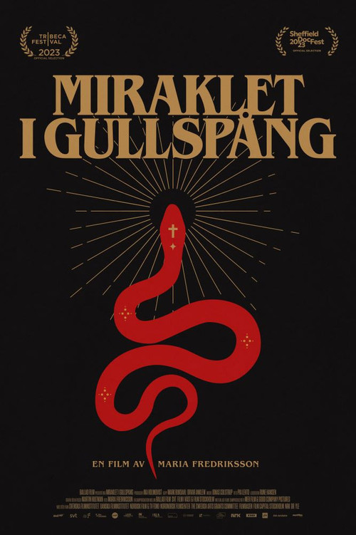The Gullspång Miracle poster