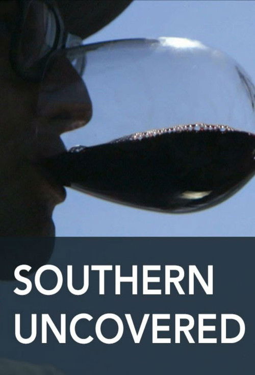 Southern Uncovered with the Lee Brothers (2015) poster