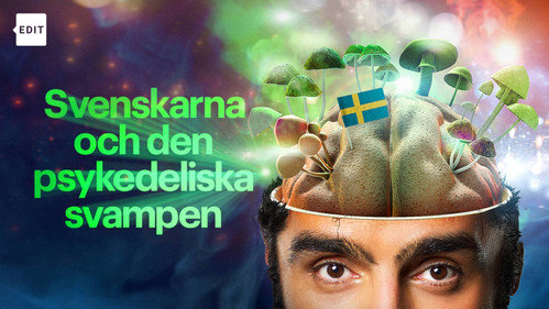 Svenskarna och den psykedeliska svampen Backdrop Blur