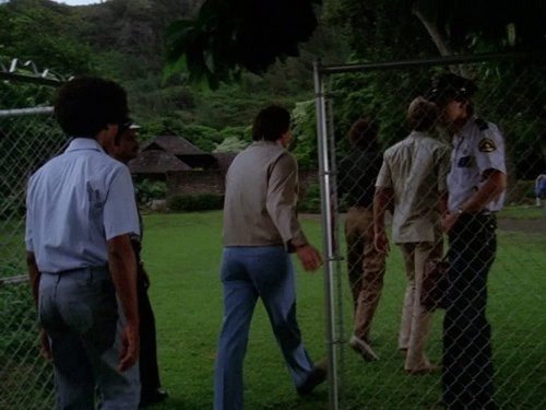 Escena del episodio 13 de la temporada 12 de la serie Hawaii 5-0