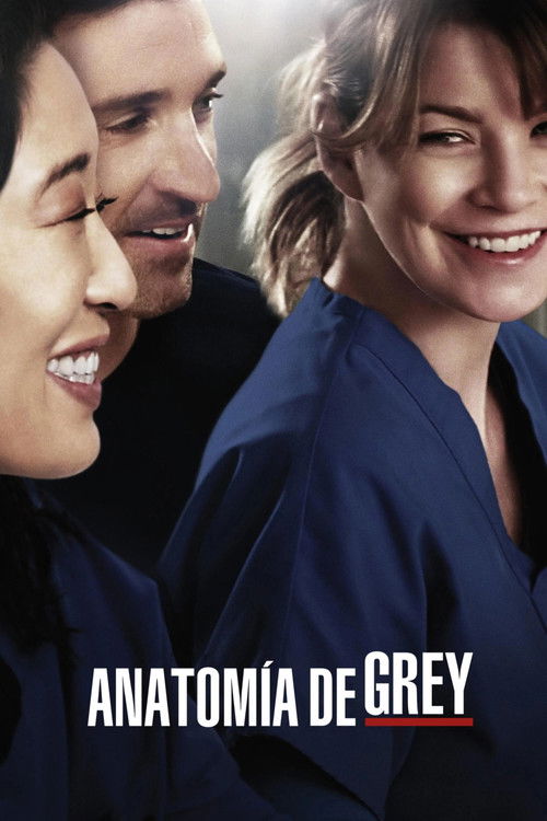 Póster de la temporada 10 de la serie Anatomía de Grey