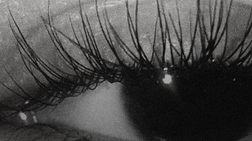 Eyes I Backdrop Blur