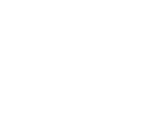 The Florida Project