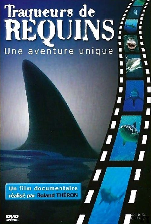 Traqueurs de requins Poster