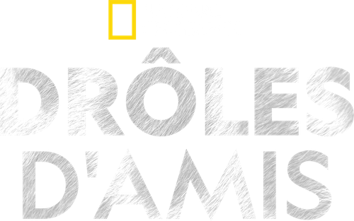 Drôles d'amis
