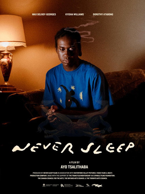 Affiche de Never Sleep