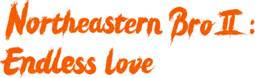 The Northeastern Bro 2: Endless Love