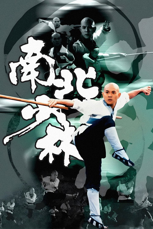 南北少林剧照5