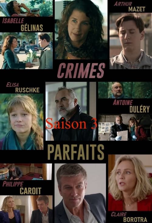 Crimes parfaits, S03 - (2020)