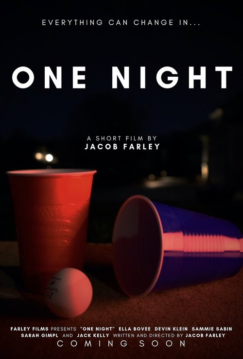 One Night movie poster player