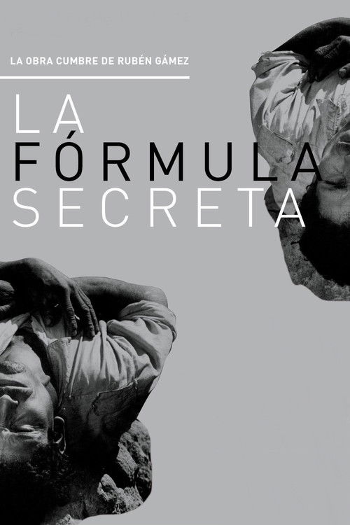 The Secret Formula poster