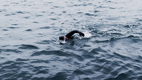 West Iceland, Kingdom of the Bull