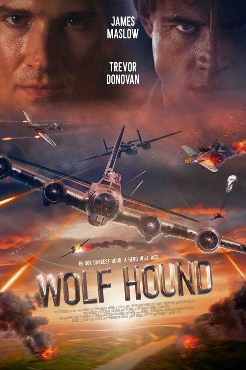 Wolf Hound - 2022 Wolf Hound - 2022