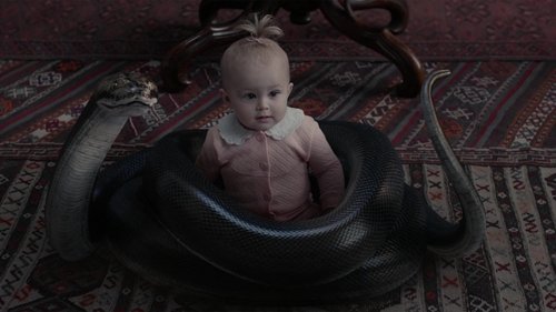 Desventuras em Série: 1×4