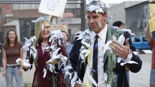 Bones – Sempre em Medicina Episódio 6