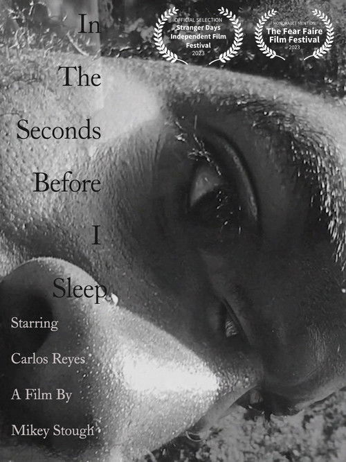 In the Seconds Before I Sleep