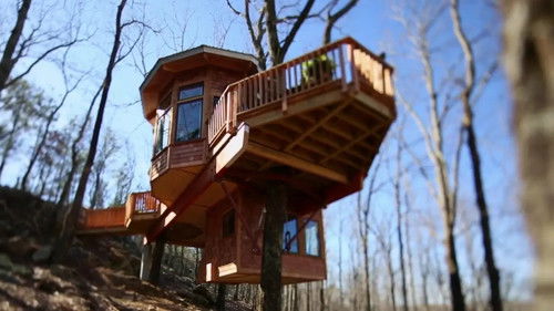 Super Spy Treehouse