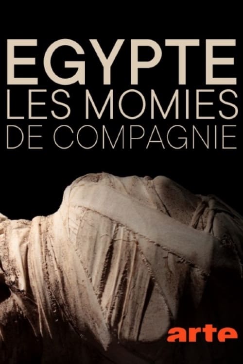 Égypte : les momies de compagnie 2020