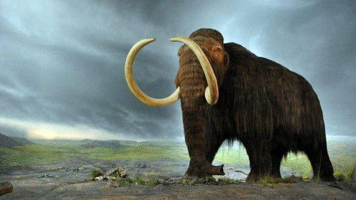 Le monde perdu des mammouths