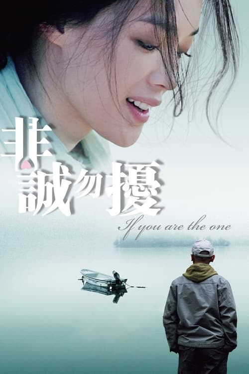 非诚勿扰 (2008) poster
