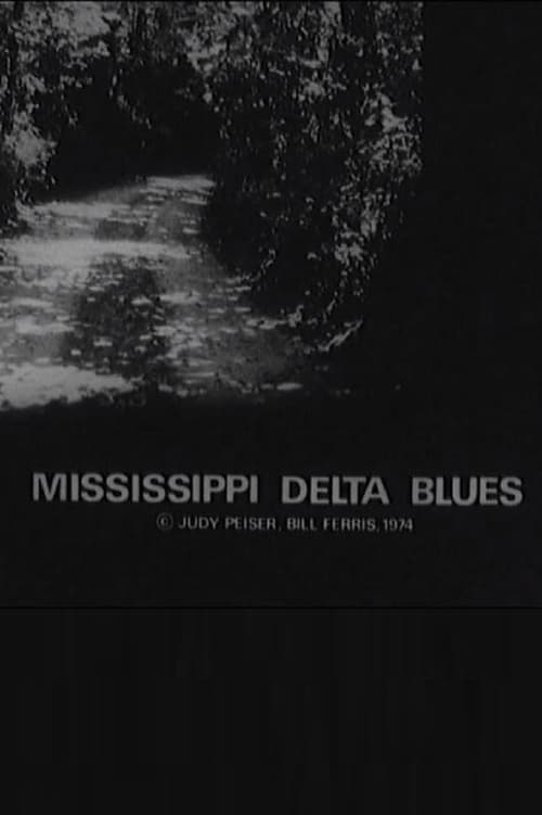 Mississippi Delta Blues movie poster player