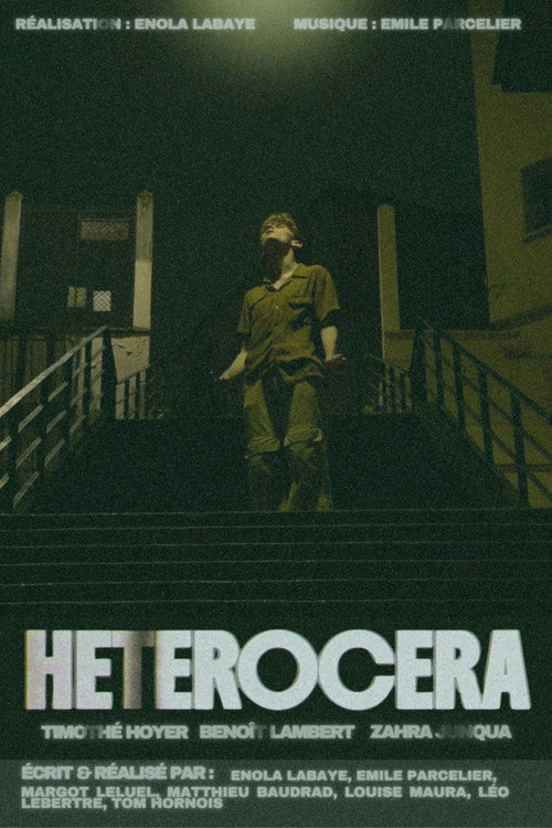 HETEROCERA still 2