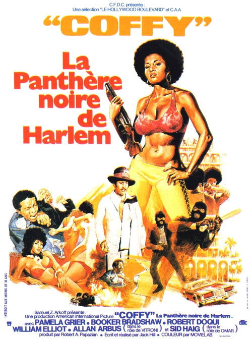 Affiche du film Coffy, la panthère noire de Harlem