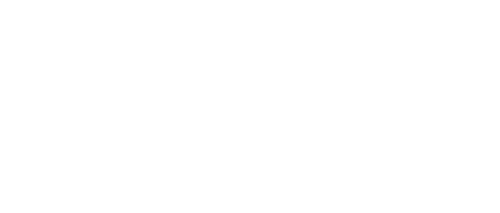 Gangs of Wasseypur I