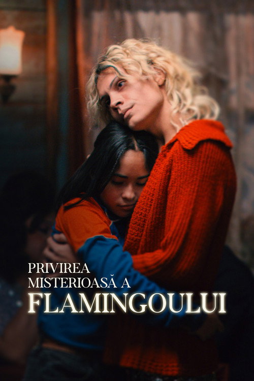 Privirea misterioasă a flamingoului
