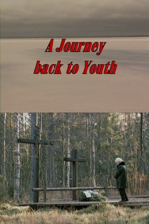 Poster A Journey Back to Youth 2001