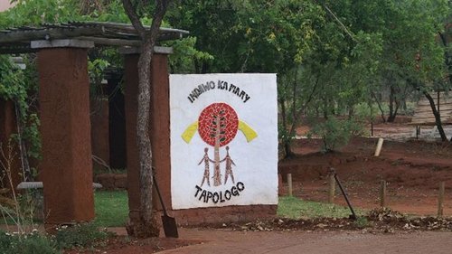 Tapologo Tapologo