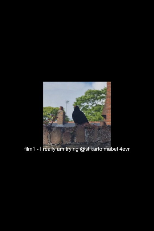 film1 - I really am trying