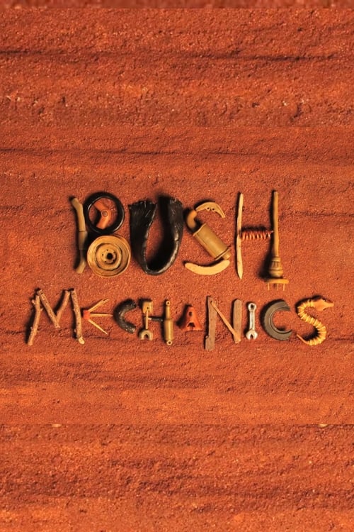 Bush Mechanics 2013